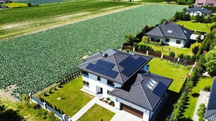 41d361a0-0163-4055-9a09-b8037dd02a15